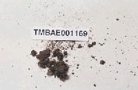 藏品(東亞附幹苔)的圖片